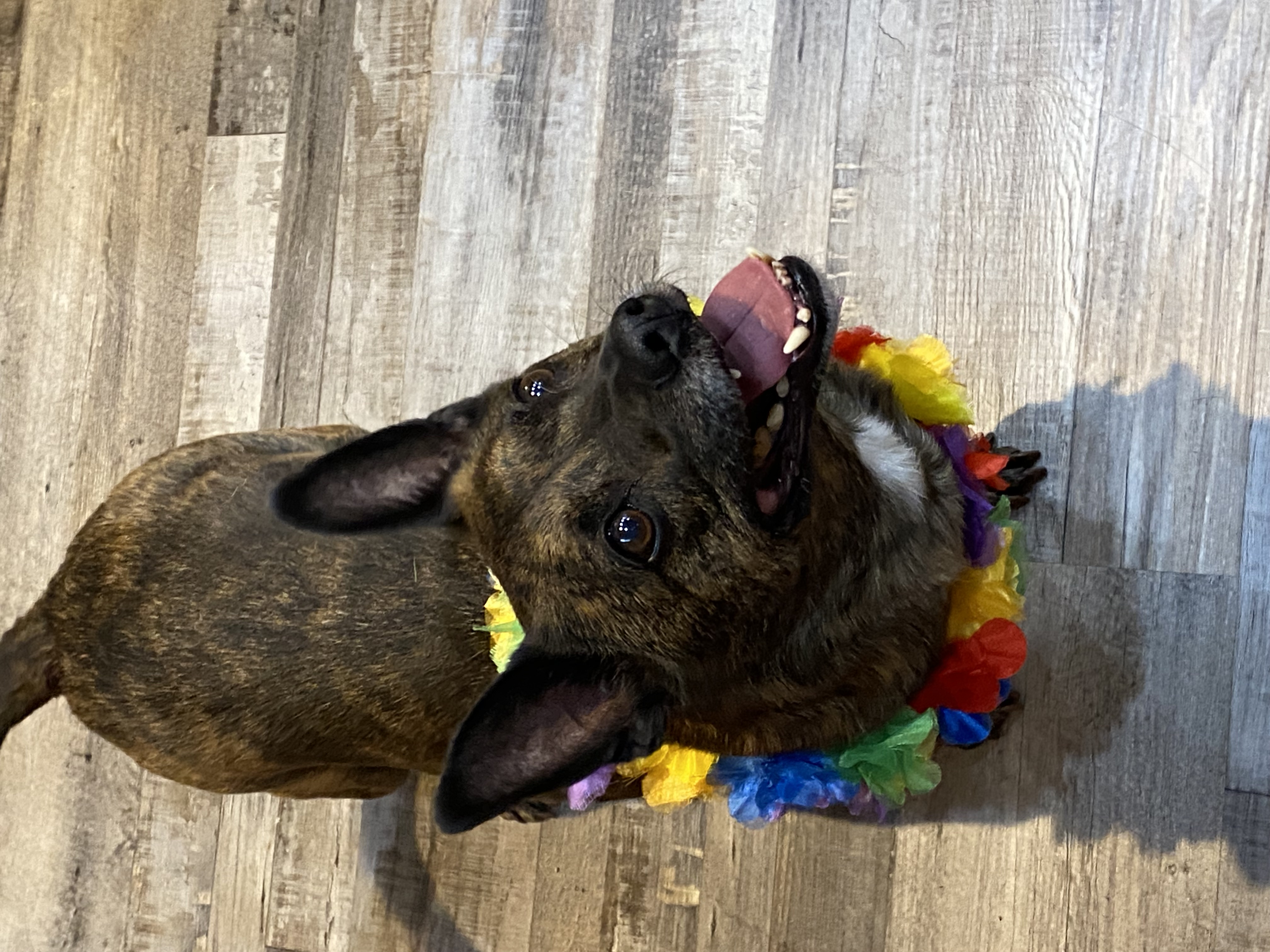 Max